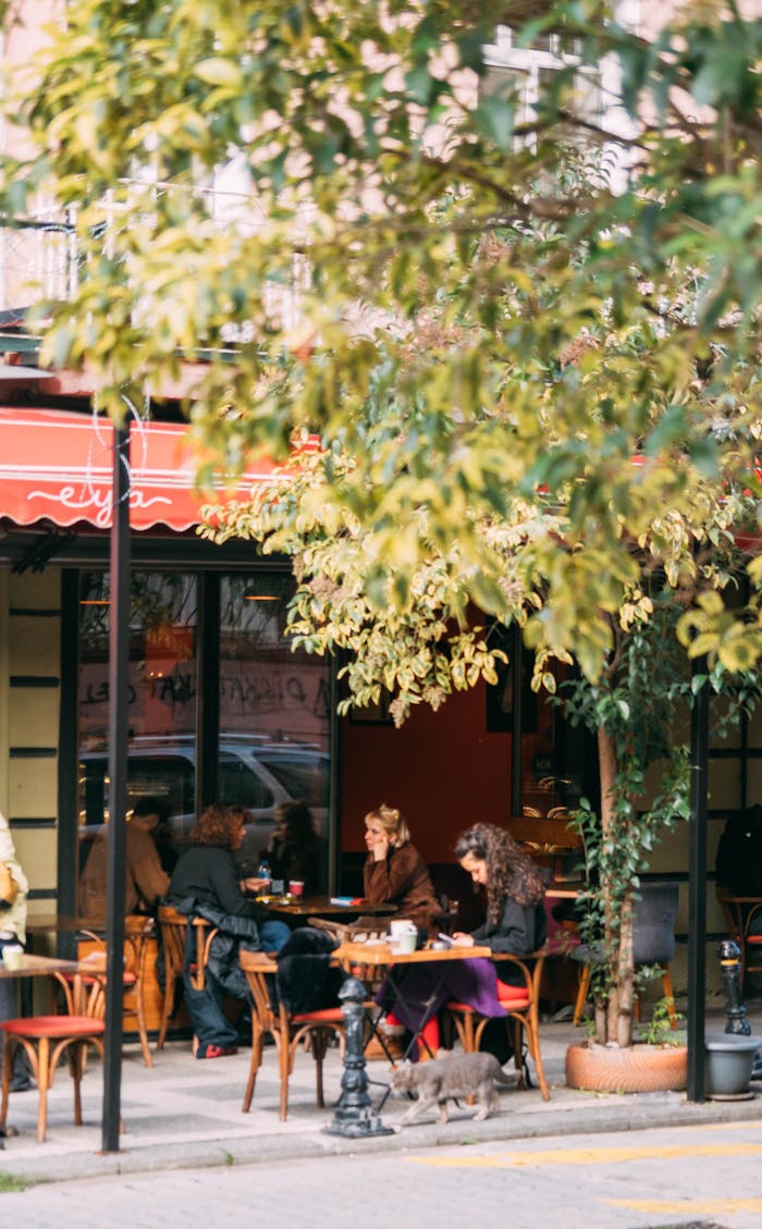 services-01 Charming urban cafe scene with people enjoying leisure time outdoors under trees.